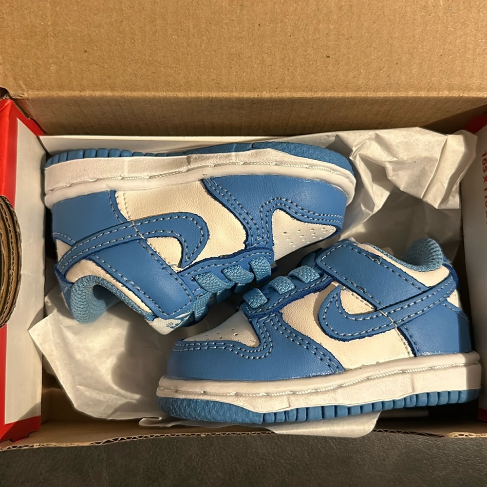 Powder Blue Dunks